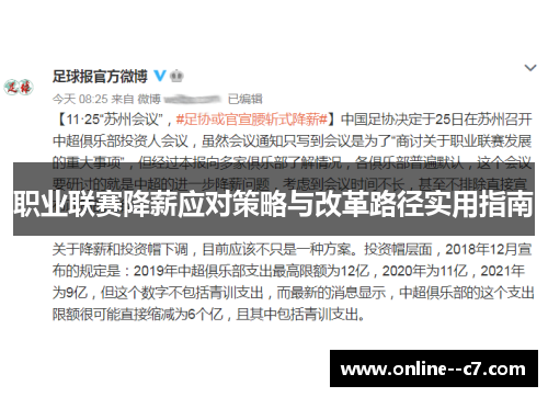 职业联赛降薪应对策略与改革路径实用指南