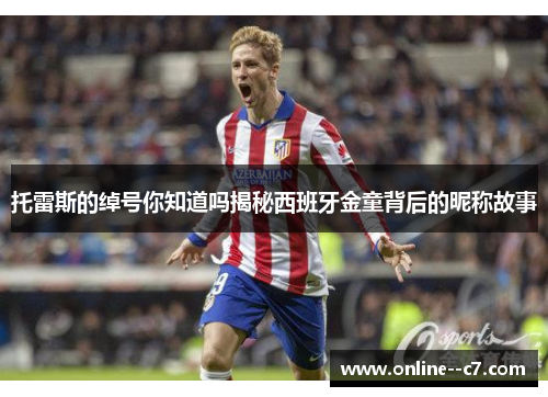 托雷斯的绰号你知道吗揭秘西班牙金童背后的昵称故事