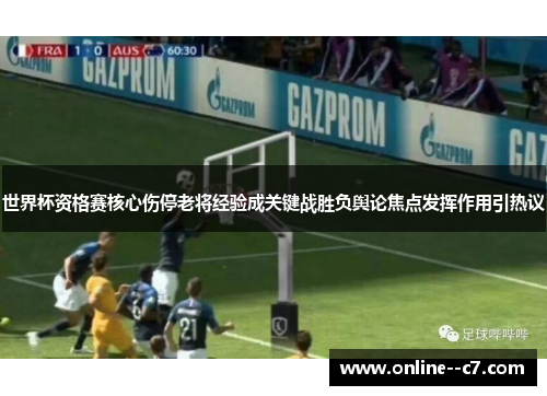 世界杯资格赛核心伤停老将经验成关键战胜负舆论焦点发挥作用引热议