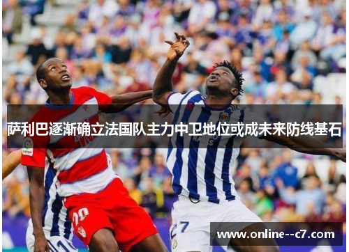 萨利巴逐渐确立法国队主力中卫地位或成未来防线基石 萨利巴逐渐确立法国队主力中卫地位或成未来防线基石
