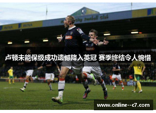 卢顿未能保级成功遗憾降入英冠 赛季终结令人惋惜