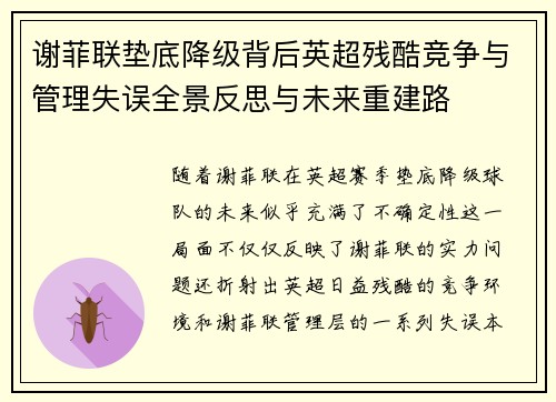 谢菲联垫底降级背后英超残酷竞争与管理失误全景反思与未来重建路 谢菲联垫底降级背后英超残酷竞争与管理失误全景反思与未来重建路